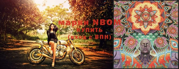 тгк Сафоново