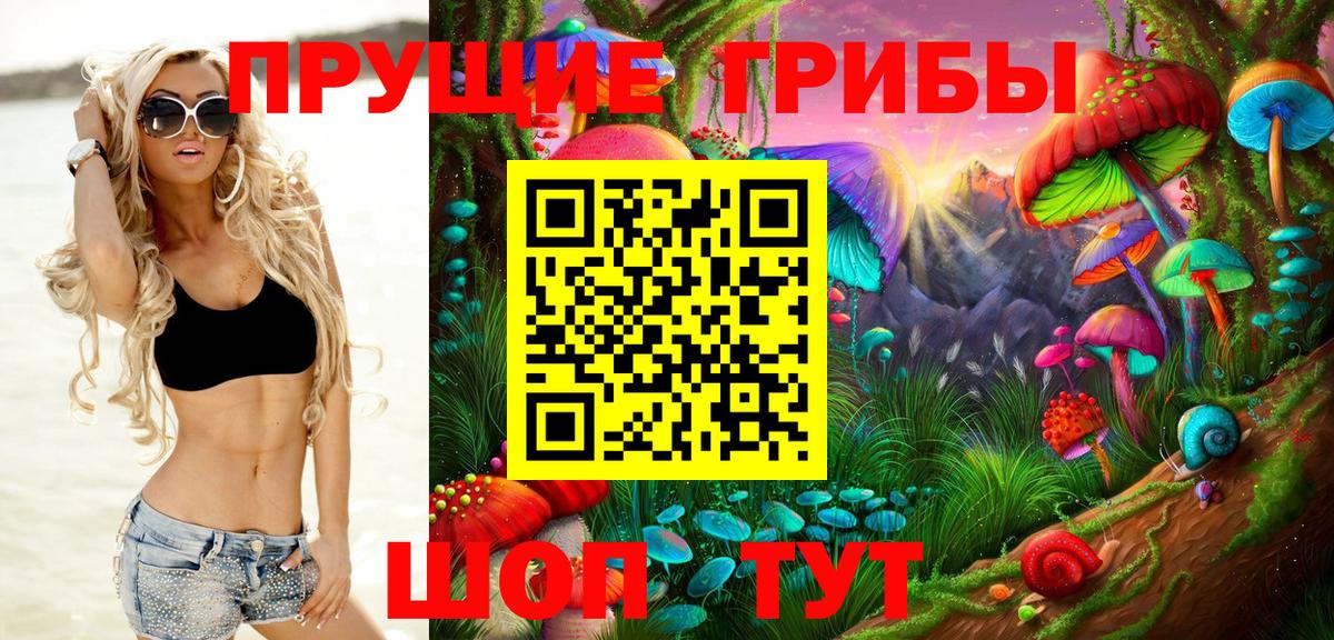 Галлюциногенные грибы Psilocybe  Серпухов 