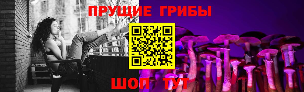 Серпухов  Галлюциногенные грибы прущие грибы  Вход с VPN 
